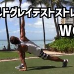 ワールドグレイテストストレッチ~全身の動きを整える"世界一偉大なストレッチ"~ worldgreateststretch