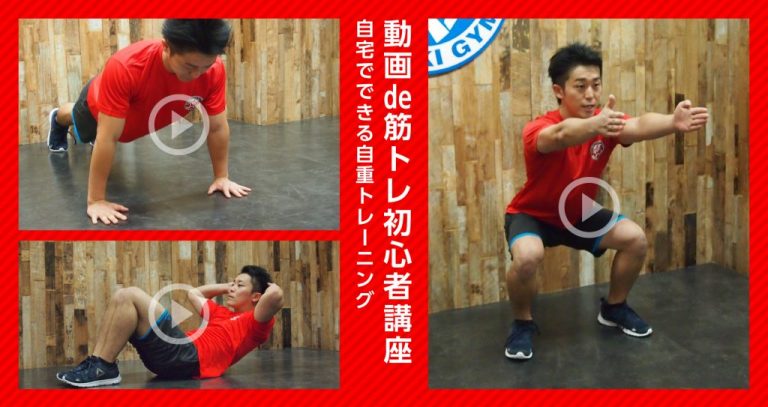 メディア