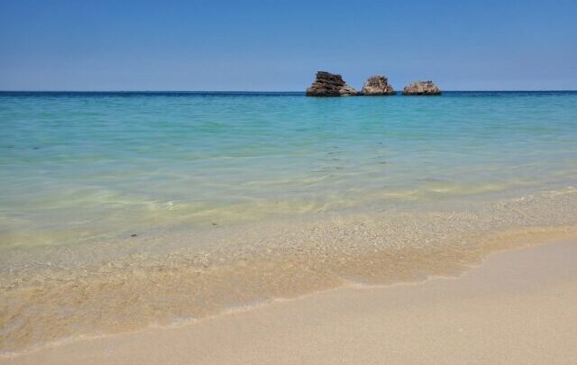 2026年★新年のご挨拶